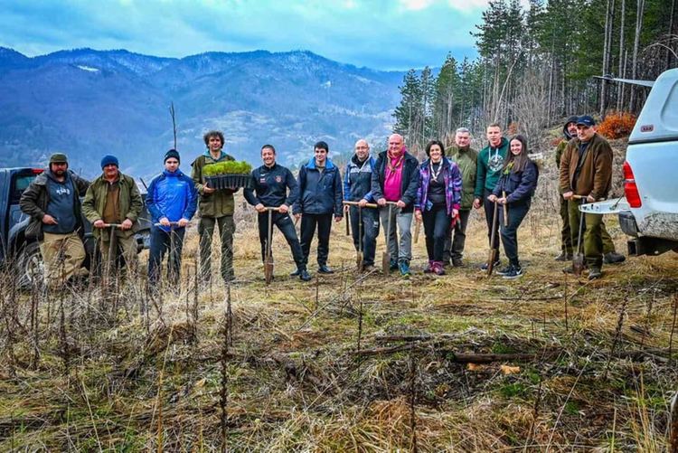 Пожарникари, горски и родопски скаути залесяваха пожарището до Хасовица