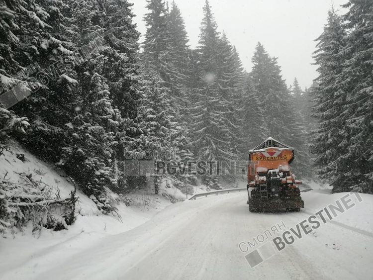 снимка: Йордан Йорданов