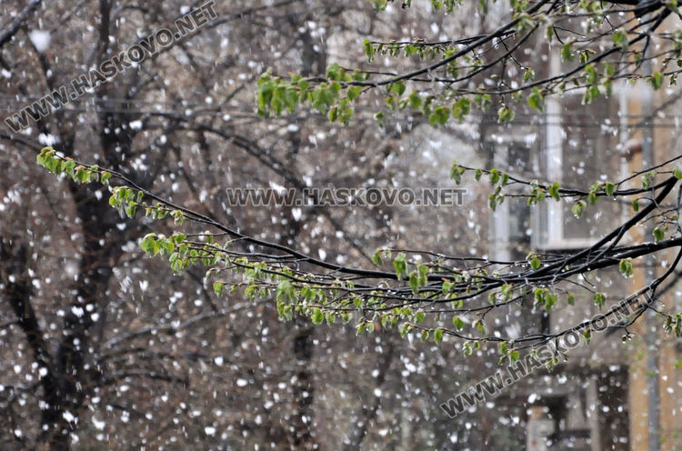 Априлски сняг днес, но спира до обяд