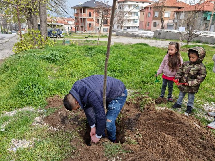 В "Седмицата на гората" потребители на Центъра за ранно детско развитие и зам-кмета засадиха дървета