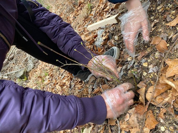 Младежи залесиха 200 фиданки, предоставени от "Гората.бг"