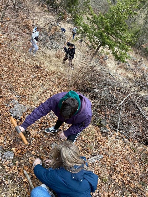 Младежи залесиха 200 фиданки, предоставени от "Гората.бг"