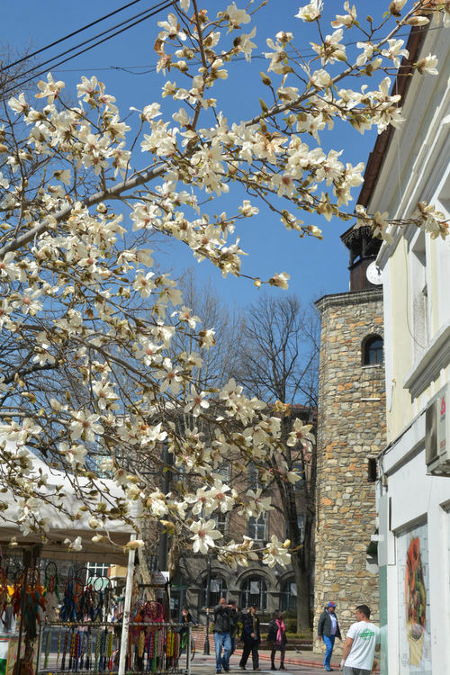 Студено утро, топъл ден