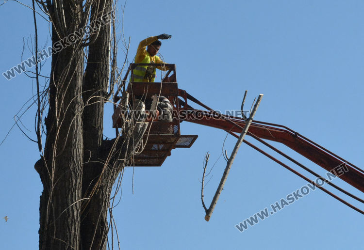 Затвориха част от бул.“България“ до Бизнес центъра заради резитба на тополите