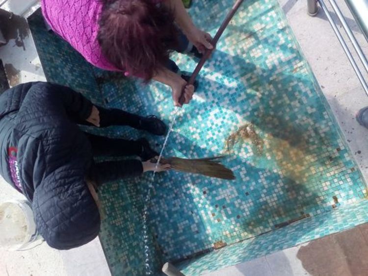 Добрият пример: Серафимовци излязоха на трудов ден да почистят селото си /ГАЛЕРИЯ/