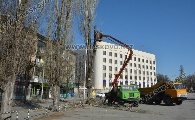 Затвориха част от бул.“България“ до Бизнес центъра заради резитба на тополите