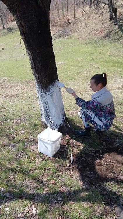 "Внуци под наем" помагат на възрастни хора в Маданско, в проекта участват доброволци със специални потребности