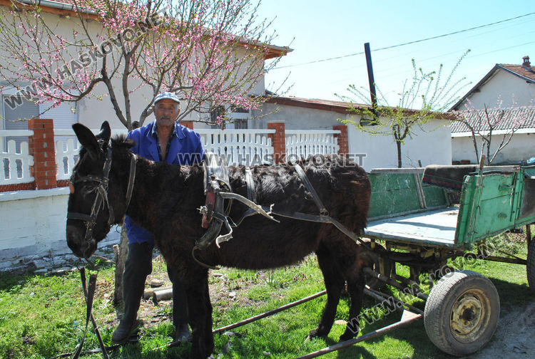 Жители на Конуш: Записахме си имената в тетрадка, но не сме взели пари