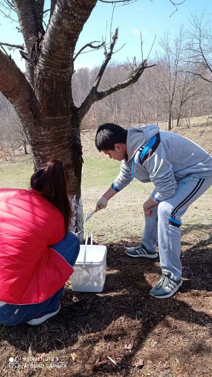 "Внуци под наем" помагат на възрастни хора в Маданско, в проекта участват доброволци със специални потребности