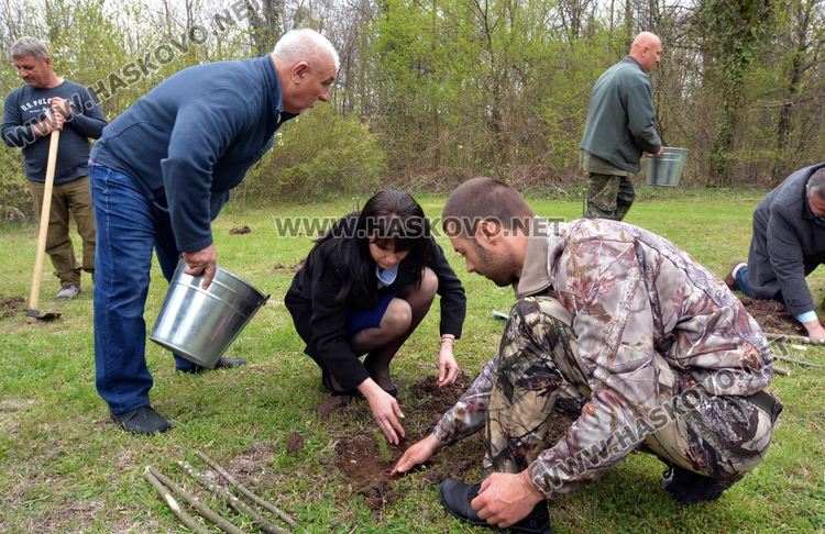 25 фиданки  атласки кедър залесиха на „Ямача“