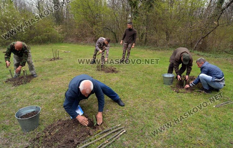 25 фиданки  атласки кедър залесиха на „Ямача“