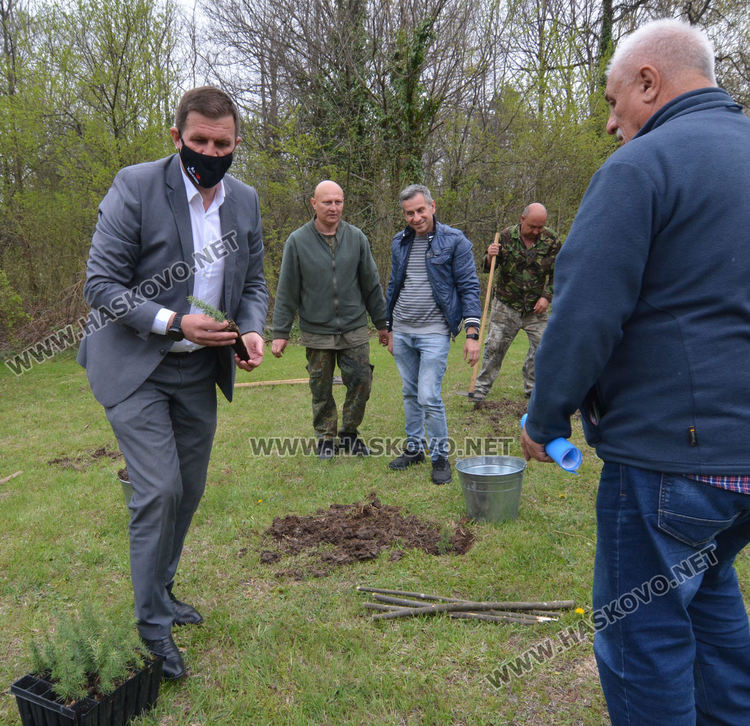 25 фиданки  атласки кедър залесиха на „Ямача“