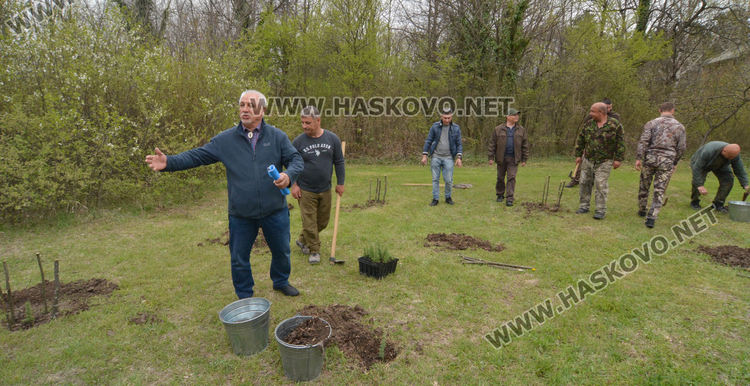 25 фиданки  атласки кедър залесиха на „Ямача“