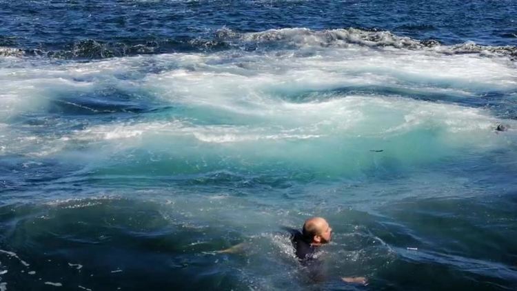 Кит удари лодка и едва не налапа турист