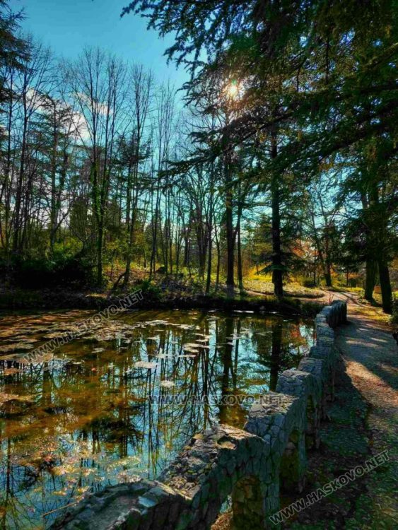 Петя Ламбрева, „Следобеден ден"
