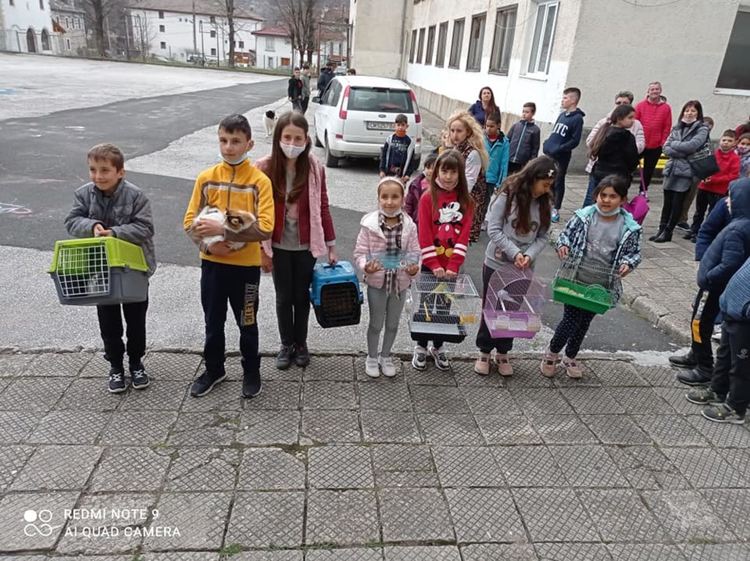 Дворът на ОУ "Юрий Гагарин" се изпълни с домашни любимци и цветя