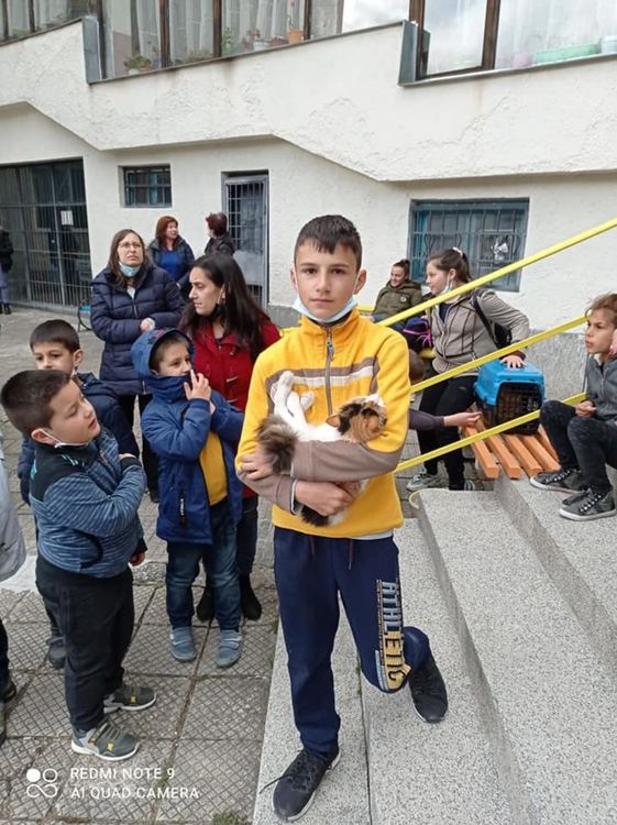 Дворът на ОУ "Юрий Гагарин" се изпълни с домашни любимци и цветя