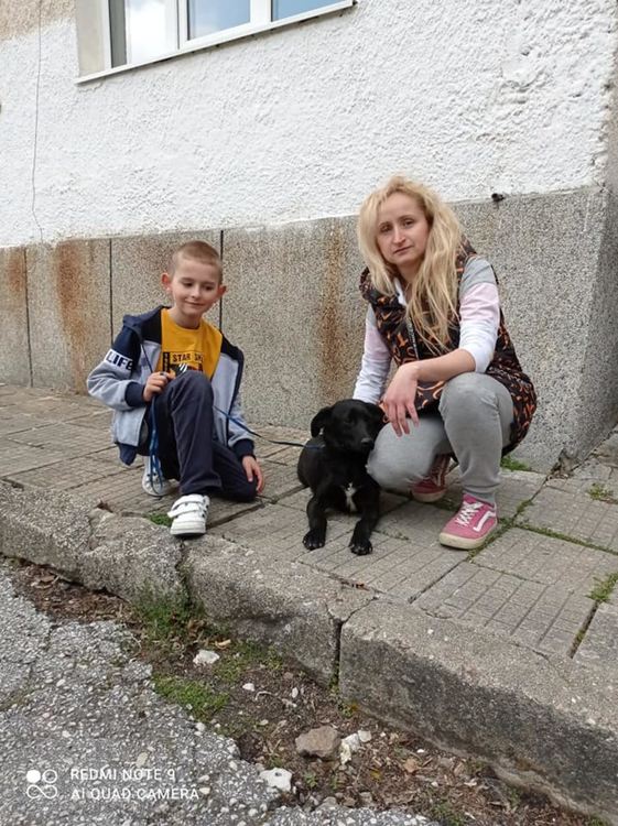 Дворът на ОУ "Юрий Гагарин" се изпълни с домашни любимци и цветя