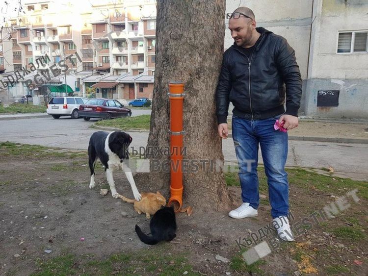 Колкото повече опознаваме хората, толкова повече обичаме животните