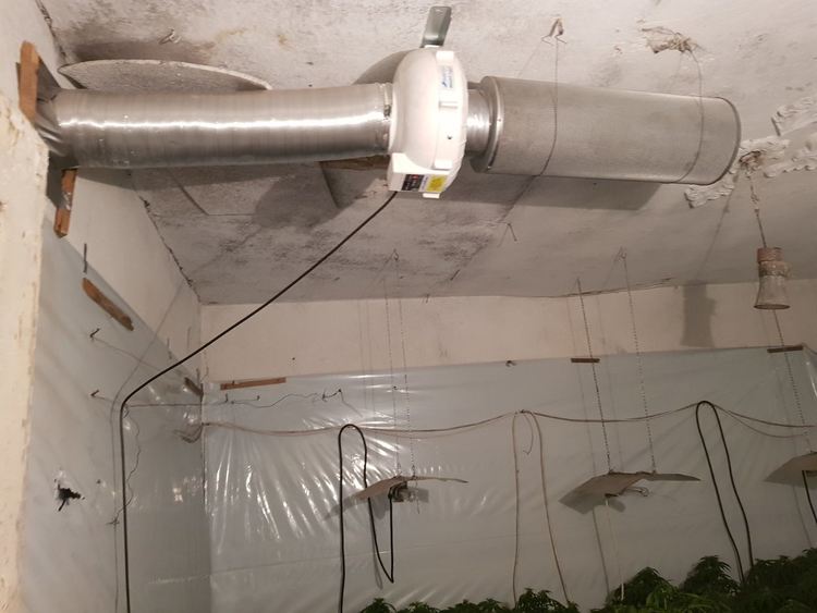 Задържаха мъж от Родопи и още двама заради оранжерия с марихуана