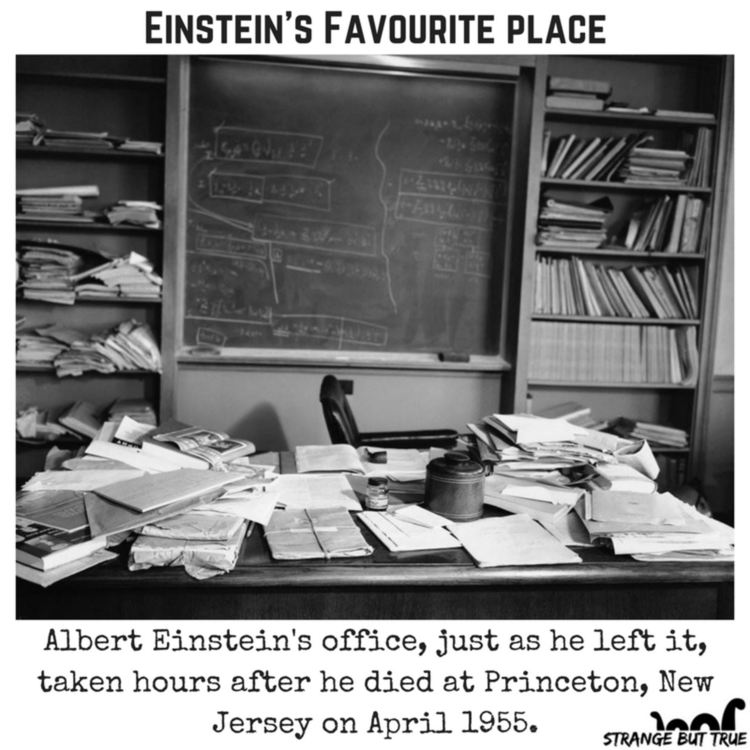 Каква е връзката между безпорядъка и интелигентността?