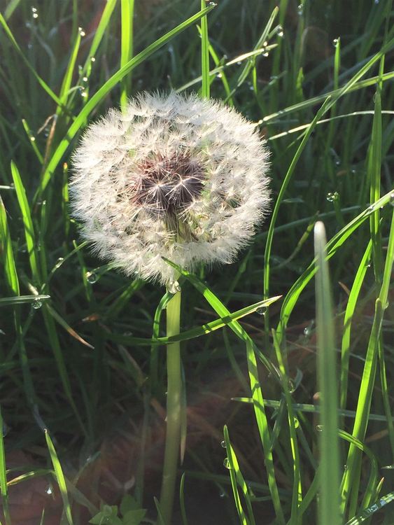 Слънце, превалявания, но топло време