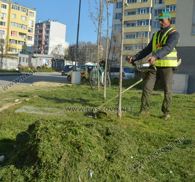 Пръскат в четвъртък срещу кърлежи на Кенана и в Орфей