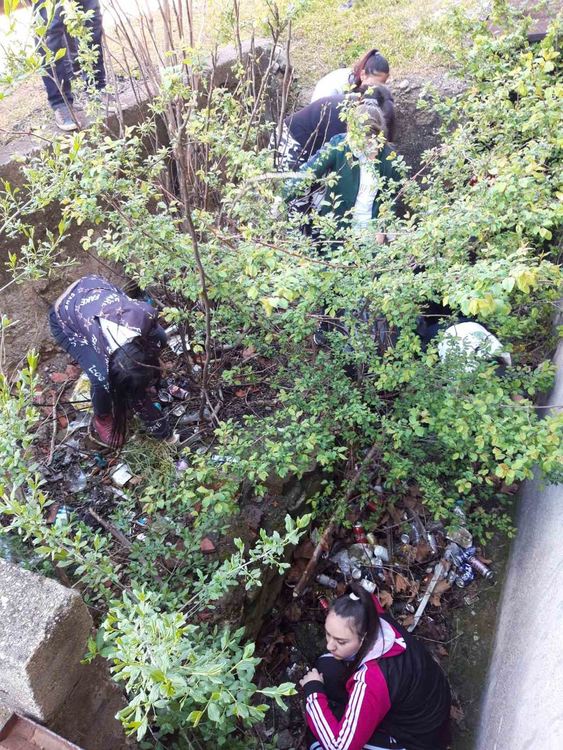 Екоинициативи в Деня на Земята