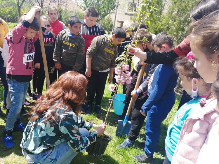 Екоинициативи в Деня на Земята