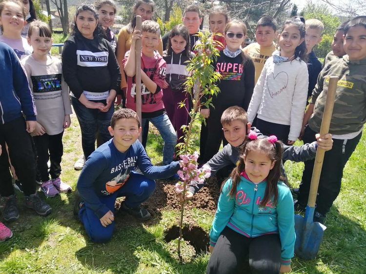 Екоинициативи в Деня на Земята