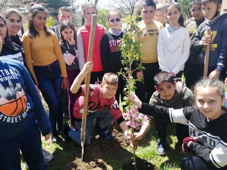 Екоинициативи в Деня на Земята