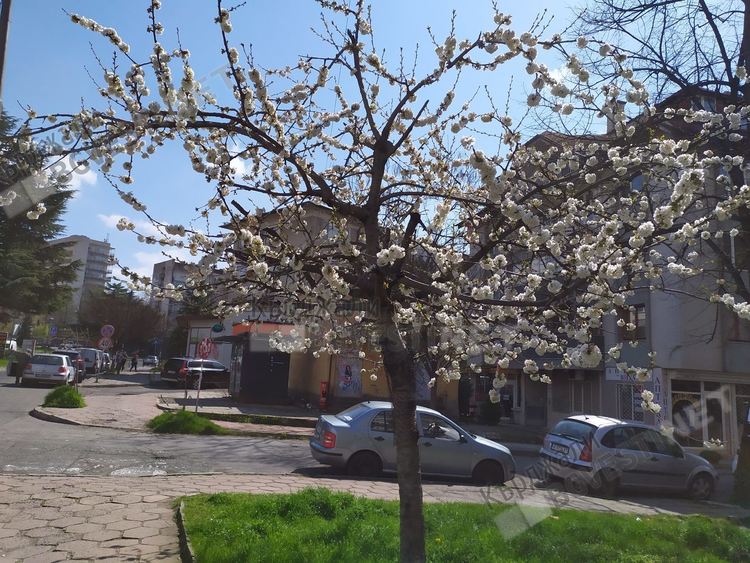 Предимно слънчево днес в Кърджали, ще подухва умерен вятър