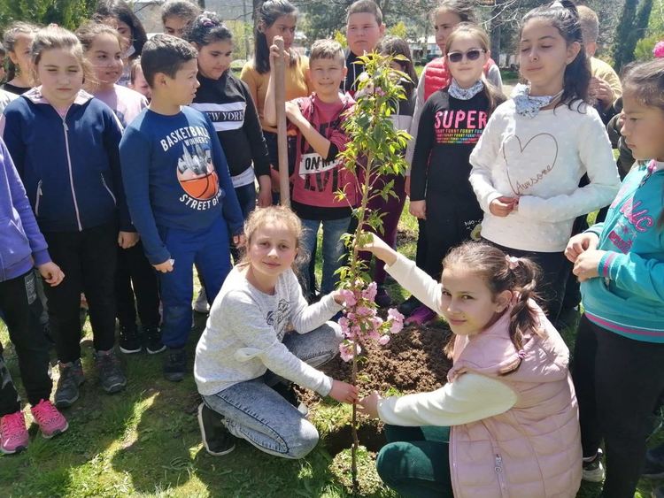 Екоинициативи в Деня на Земята