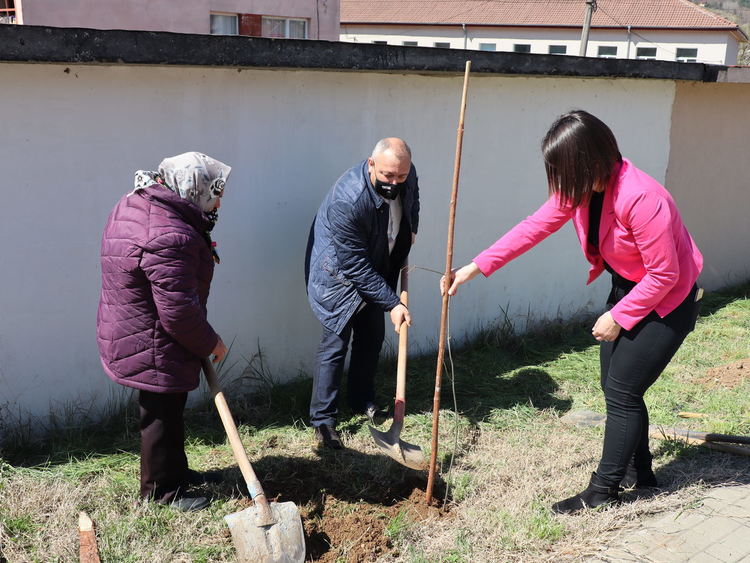 Кметът на Ардино засади фиданка от червен дъб по случай Деня на земята