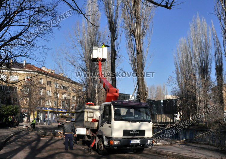 Затварят бул. „България“ в неделя заради резитбата на тополи