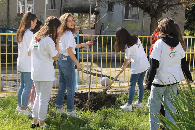 Учениците от Езиковата гимназия:Заедно имаме силата да възстановим Земята