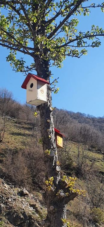 РИОСВ – Смолян отбеляза 22 април – Деня на Земята