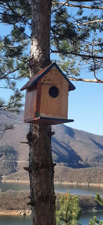 РИОСВ – Смолян отбеляза 22 април – Деня на Земята