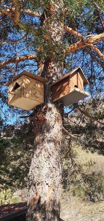 РИОСВ – Смолян отбеляза 22 април – Деня на Земята