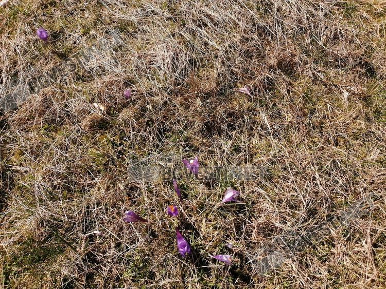 Хладно за април, облачно и с краткотрайни валежи от дъжд, а над 1800 метра - от сняг