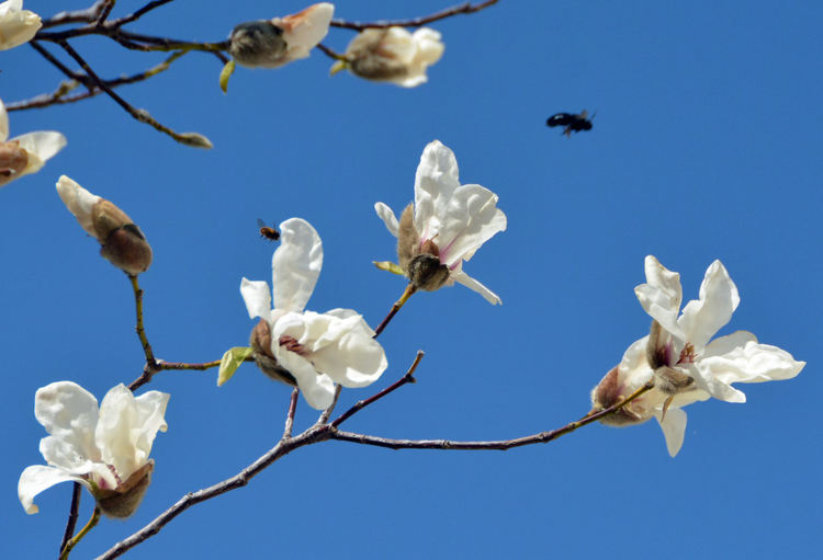 Малко слънце, но топло днес