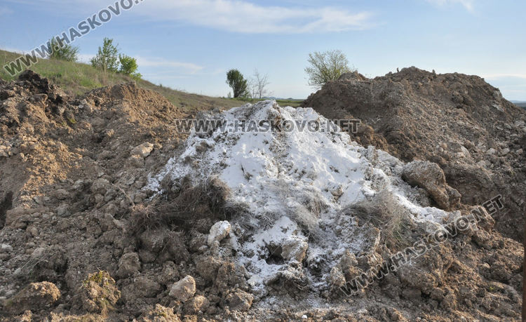 Загробиха част от птиците с инфлуенца до параклис край Малево, хората протестират