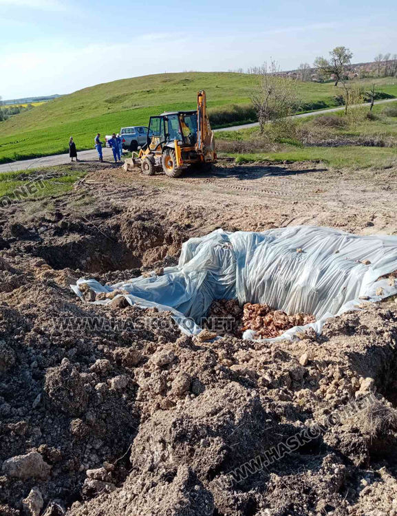 снимки от хора от селото с още незаровените трупове на умъртвените кокошки