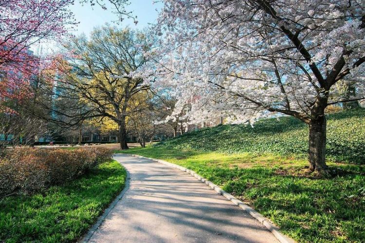 Облачно с превалявания на места