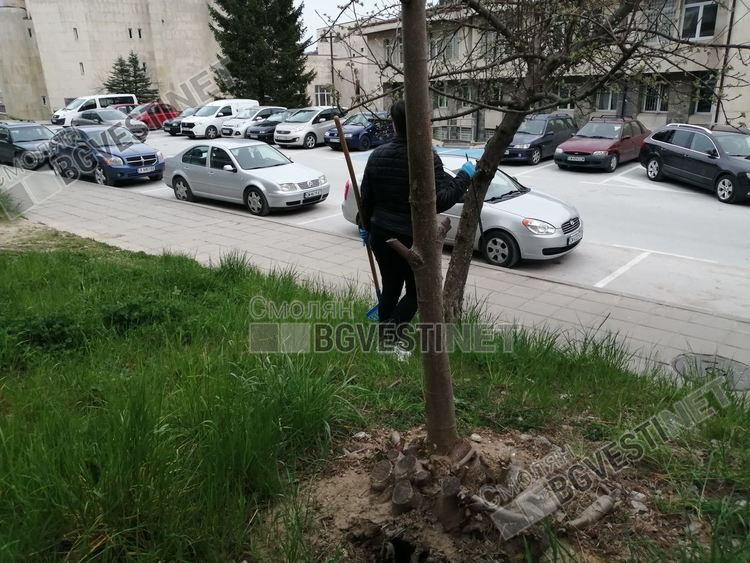 Живеещите в блок 45 в новия център на Смолян дават добър пример