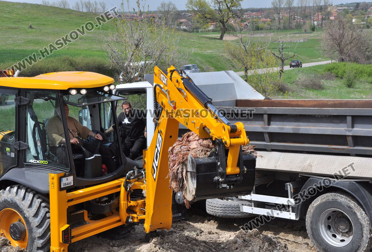 Изровиха загробените с Инфлуенца кокошки край Малево