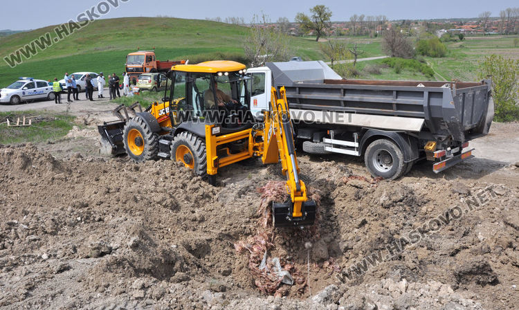 Изровиха загробените с Инфлуенца кокошки край Малево