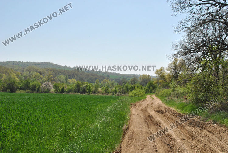 Недоволстват от предложение за продажба на 1000 дка гора край Царева поляна