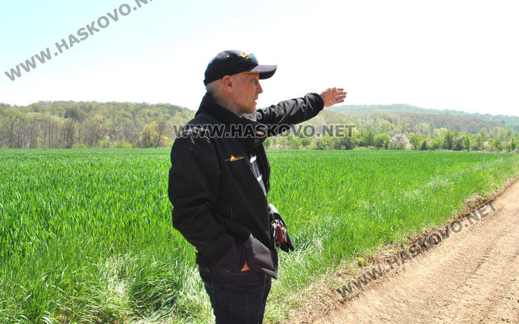 Недоволстват от предложение за продажба на 1000 дка гора край Царева поляна