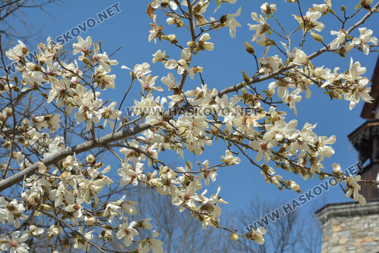 Слънчево и топло днес